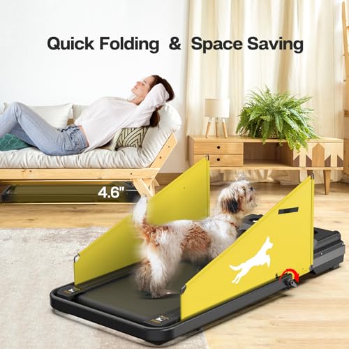 Dog Treadmill with LCD Display P5533