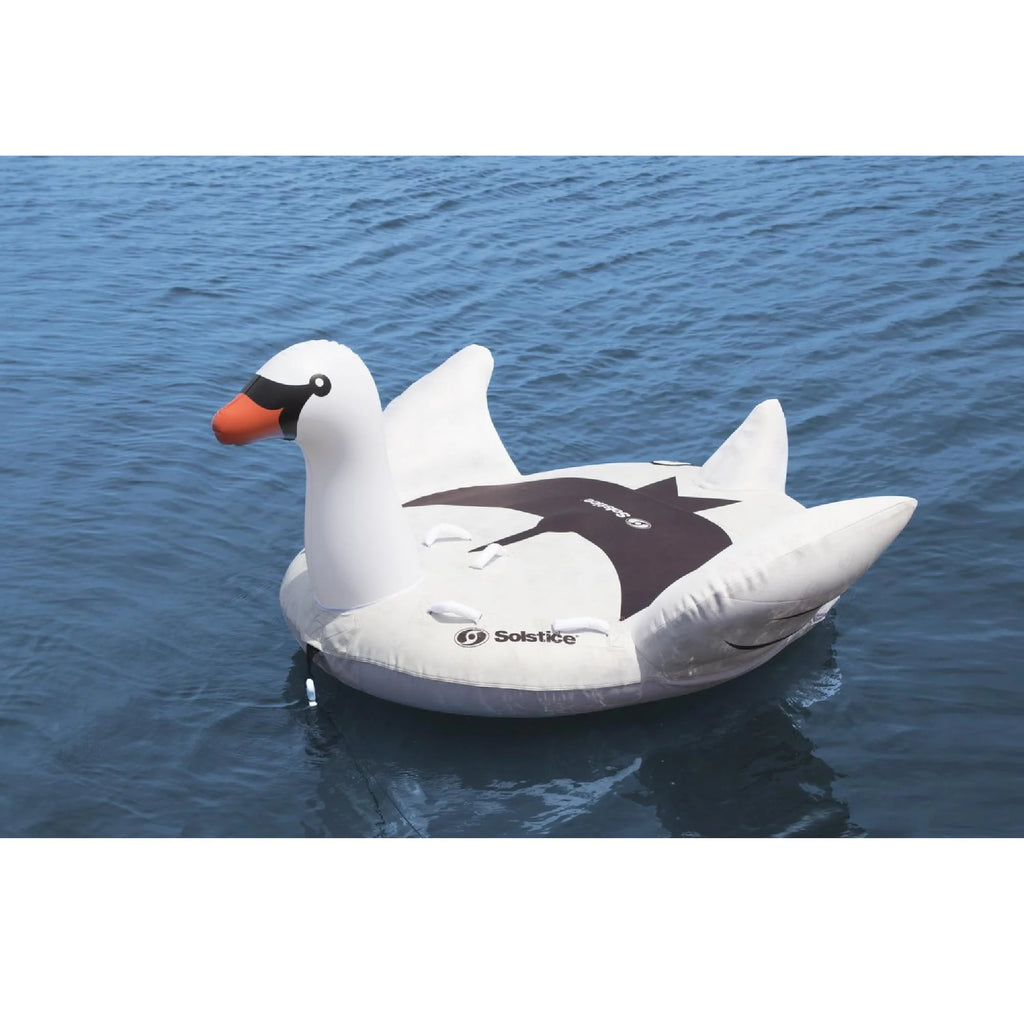 2-Person Inflatable Pool Float J189862