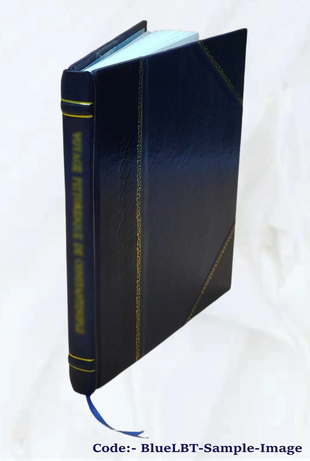 Leather Bound Book G976