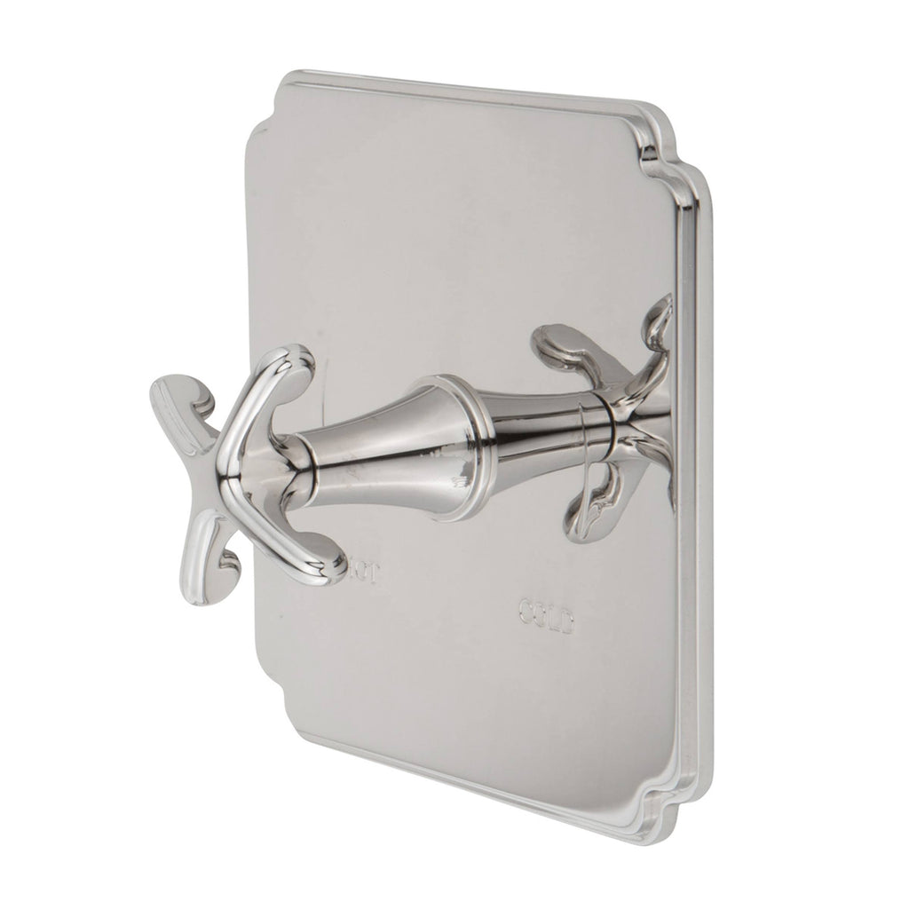 Uncoated Polished Brass Shower Trim Plate with Lever Handle U85077