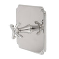Uncoated Polished Brass Shower Trim Plate with Lever Handle U85077