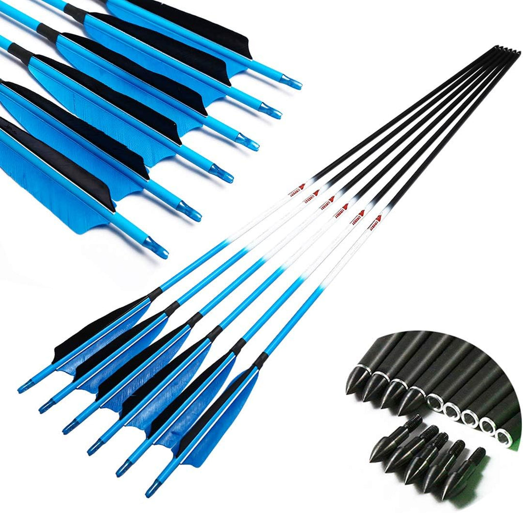 Carbon Arrows with Removable Tip, Spine 300 340 400 500 600, Pack of 6/12PCS G49505