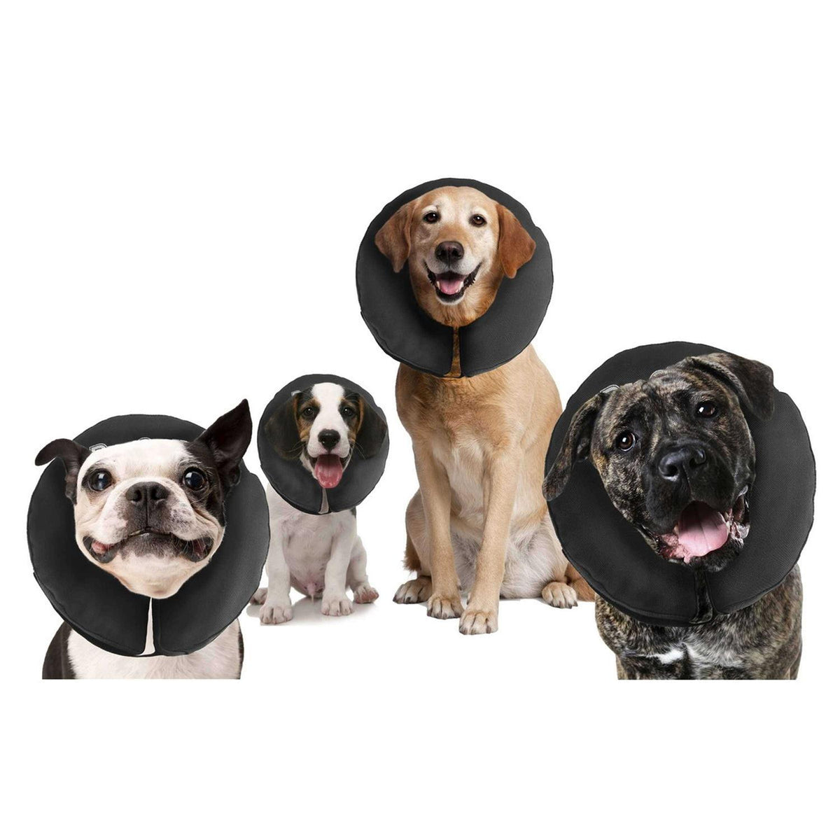 Inflatable Recovery Collar X7698
