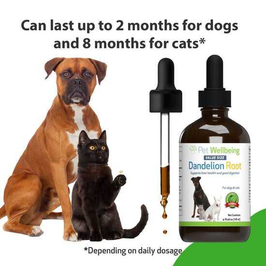 Dandelion Root Cat Liver and Digestive Support Y379