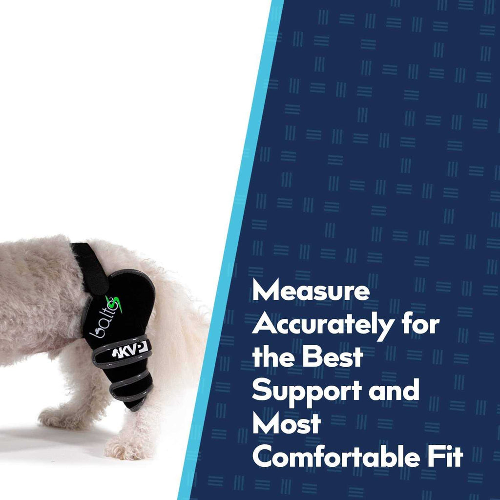 Knee Support for Dogs F902