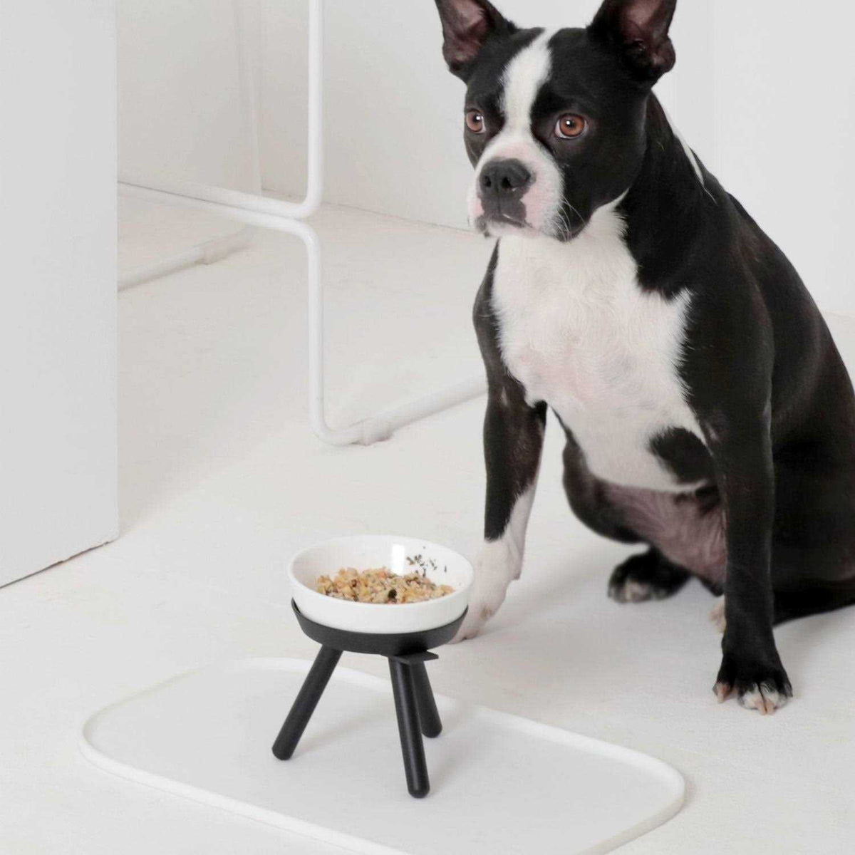 Table Pets J43954