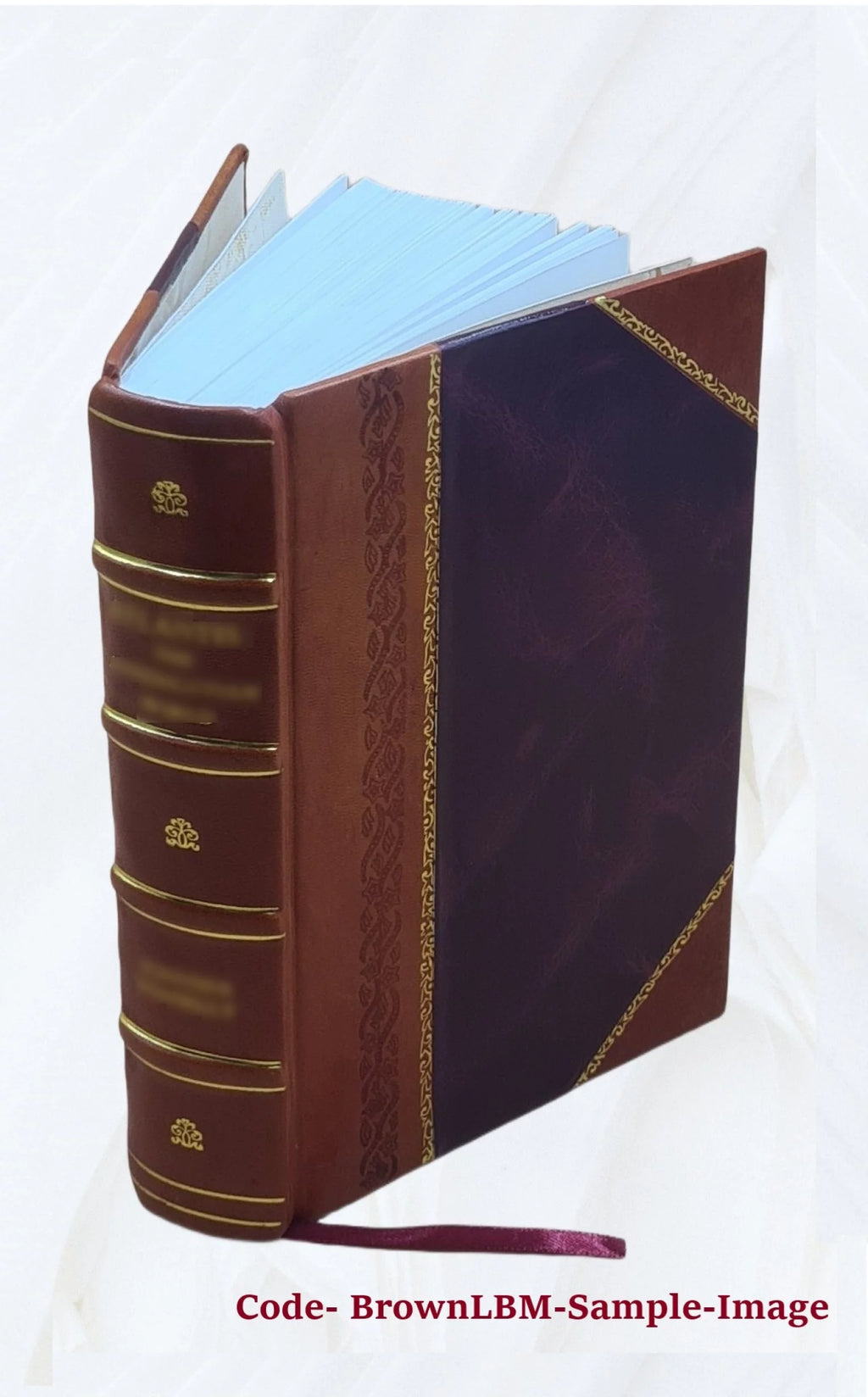 Leather Bound Furniture and furnishings F44348