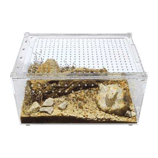 Acrylic Terrarium J831021