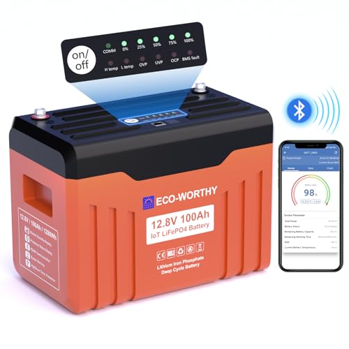 12V 100AH LiFePO4 Lithium Battery with Bluetooth P6801