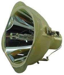 Bare Lamp Projector Bulb H445