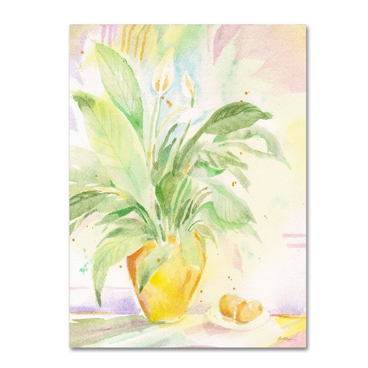 Sheila Golden The Peace Lily Canvas Art M321901