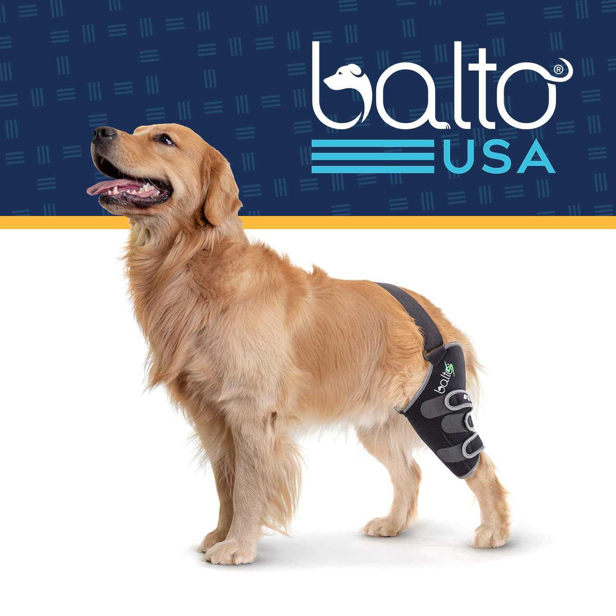Knee Support for Dogs F902