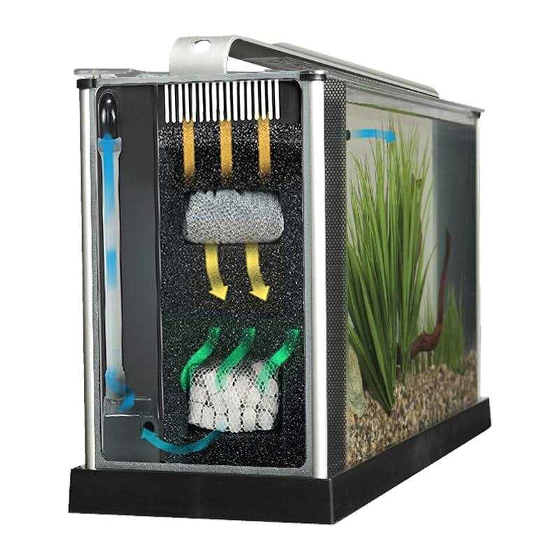 Aquarium P919