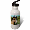 21 oz Sports Water Bottle X108