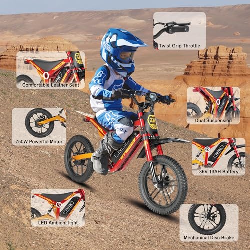 36V 750W Electric Dirt Bike with 16" Pneumatic Tires Q75882