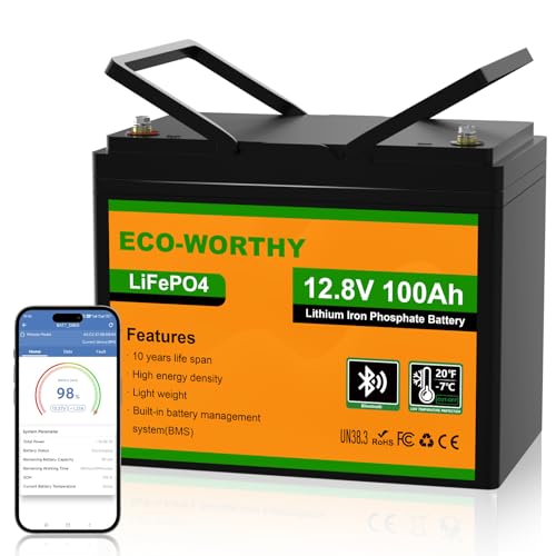 12V 100AH LiFePO4 Lithium Battery with Bluetooth P6801