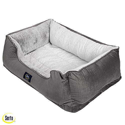 Slate Gray X-Large Orthopedic Dog Bed E890
