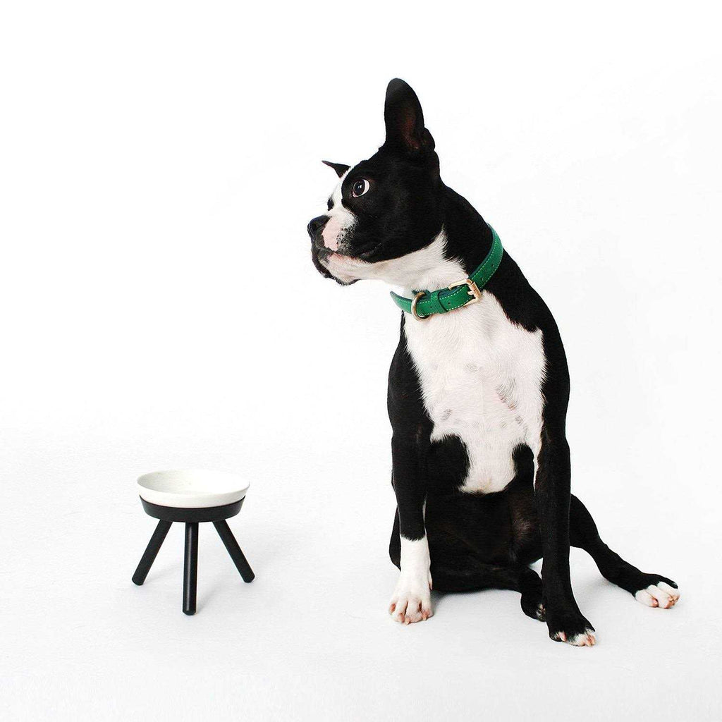 Table Pets J43954