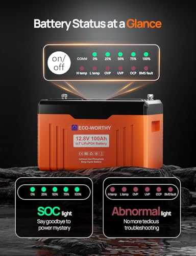 12V 100AH LiFePO4 Lithium Battery with Bluetooth P6801