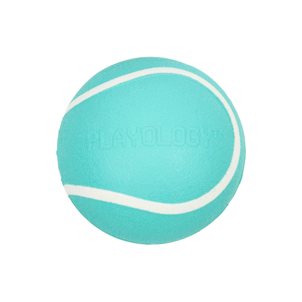 Squeaky Chew Ball Dog Toy K127725