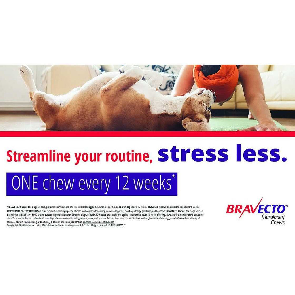 Bravecto Chews for Dogs W6634