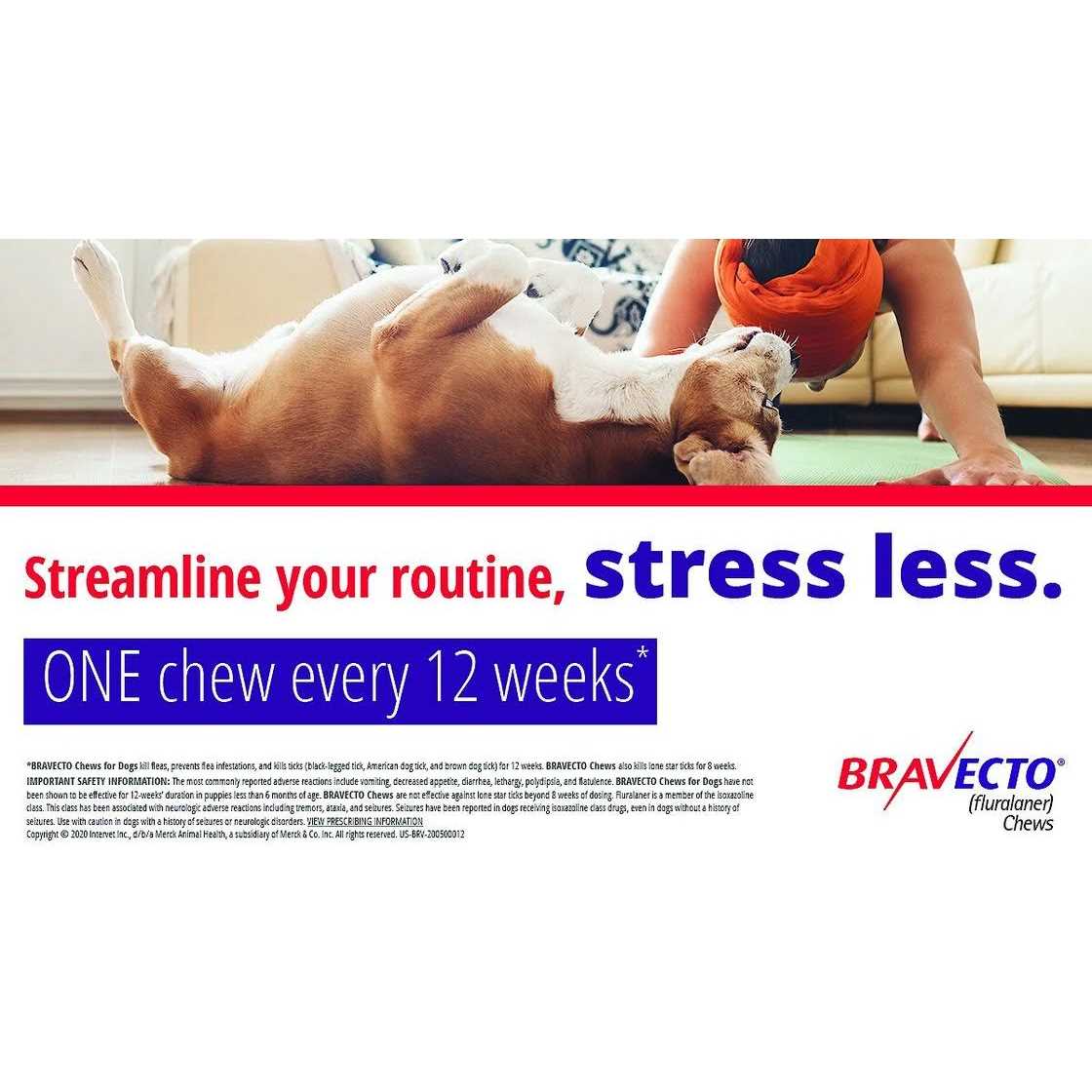 Bravecto Chews for Dogs W6634