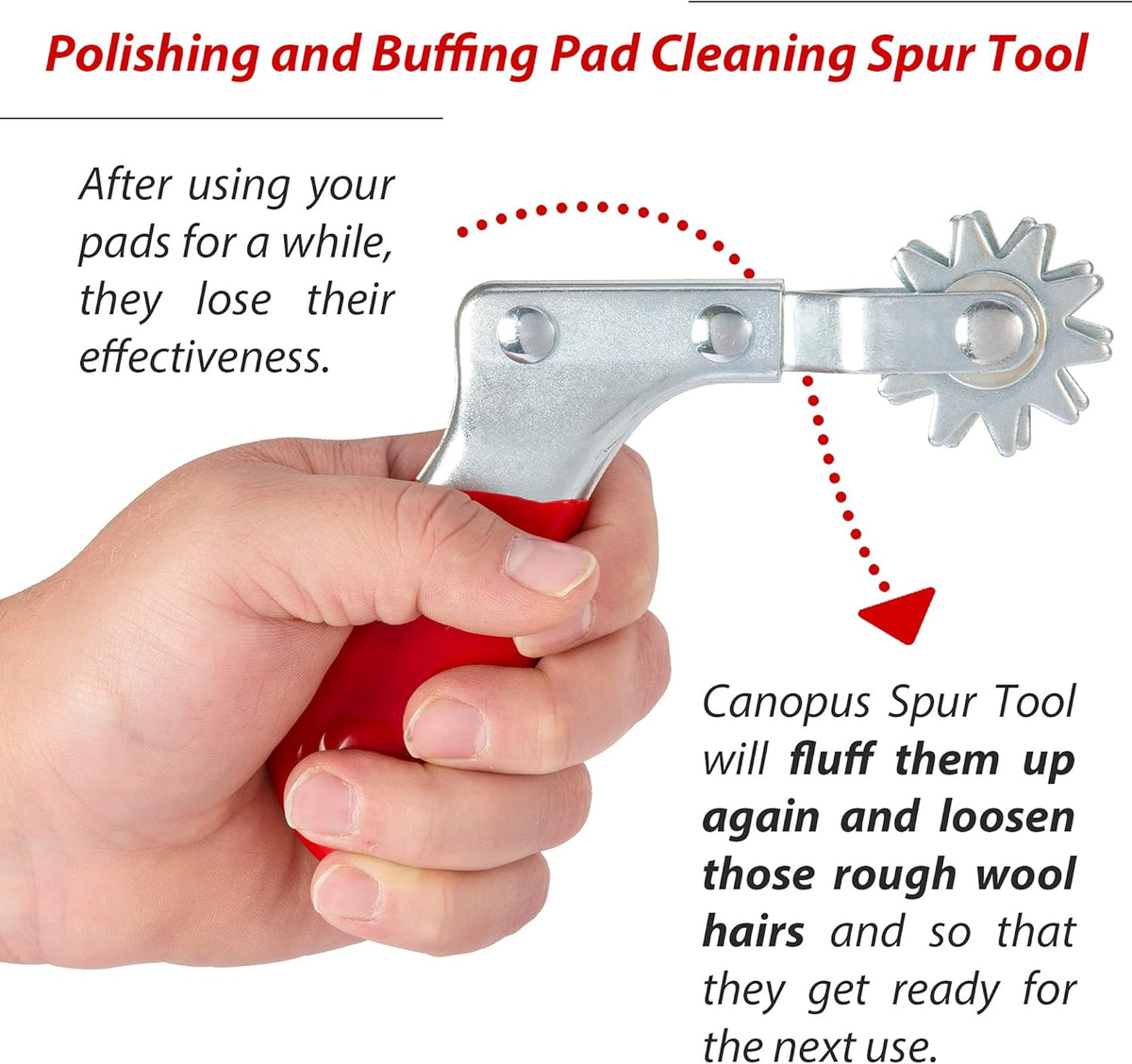 Polishing Pad Cleaner and Buffing Spur Tool O3166