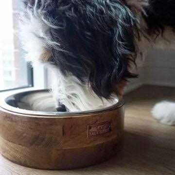 Wood Dog Bowl S185