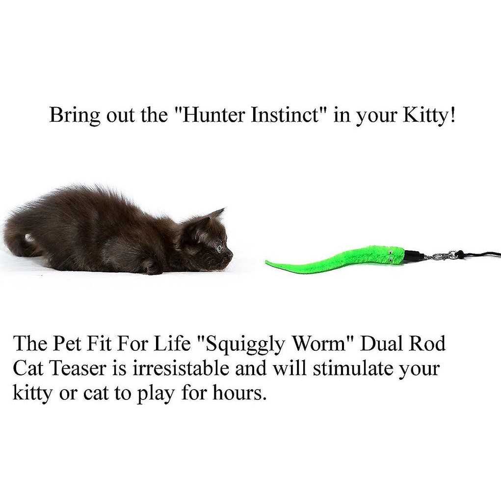Cat Wand Toy 5-Piece Worm Teaser B921