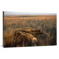 24 x 36 in. Giant Anteater Art Print P7435