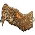 Hardwood Bird Perch Y4432