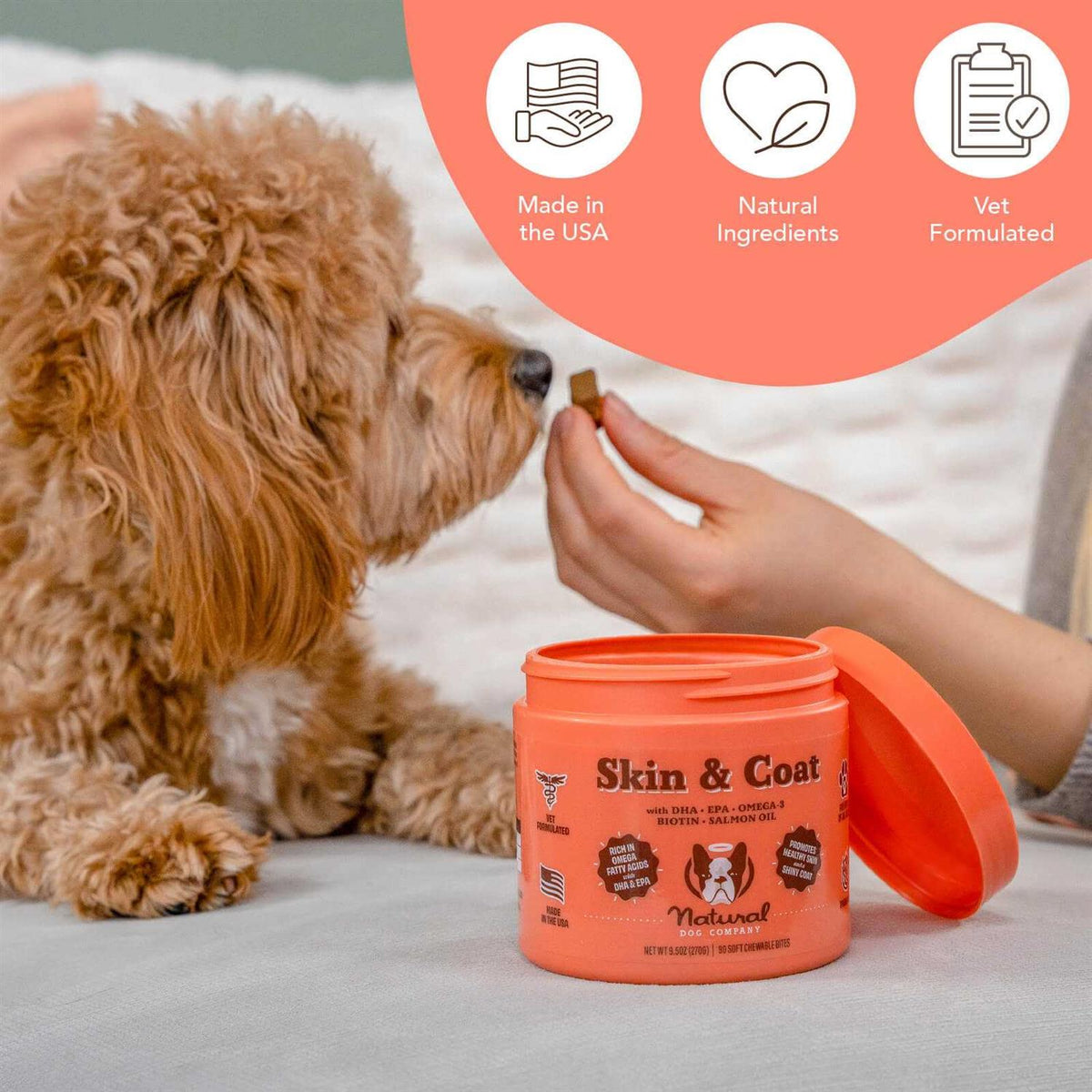 Dog Skin and Coat Supplement K848