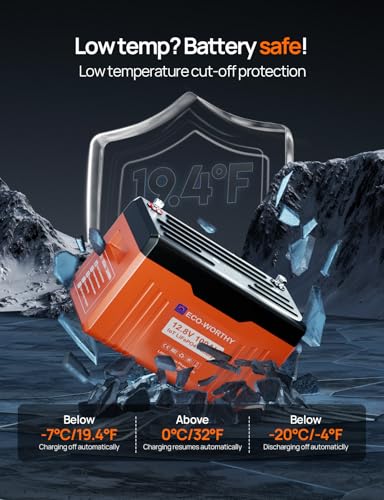 12V 100AH LiFePO4 Lithium Battery with Bluetooth P6801