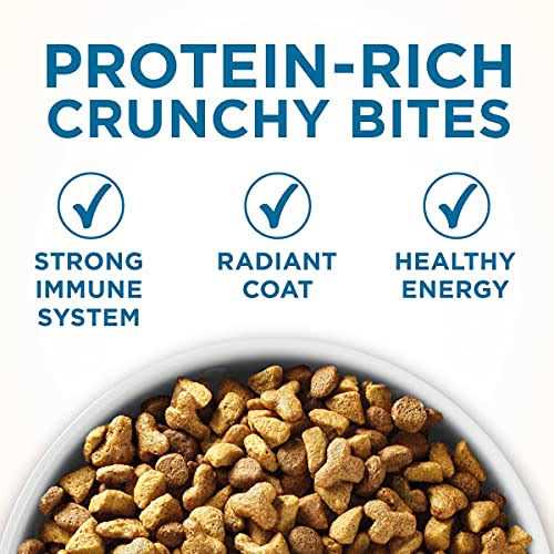 High Protein Natural Senior Dry Cat Food X942