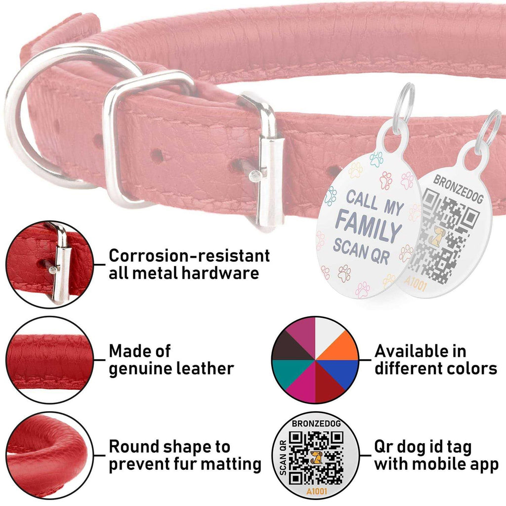 Rolled Leather Dog Collar with QR ID Dog Tag O49030