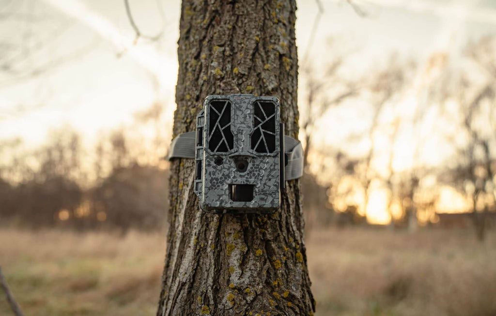 Trail Camera B17763