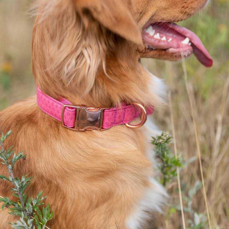 Adjustable Dog Collar J98751