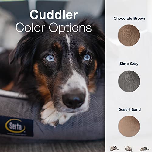 Slate Gray X-Large Orthopedic Dog Bed E890