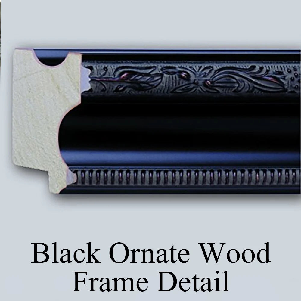 Black Ornate Wood Framed Double Matted Museum Art Print N806