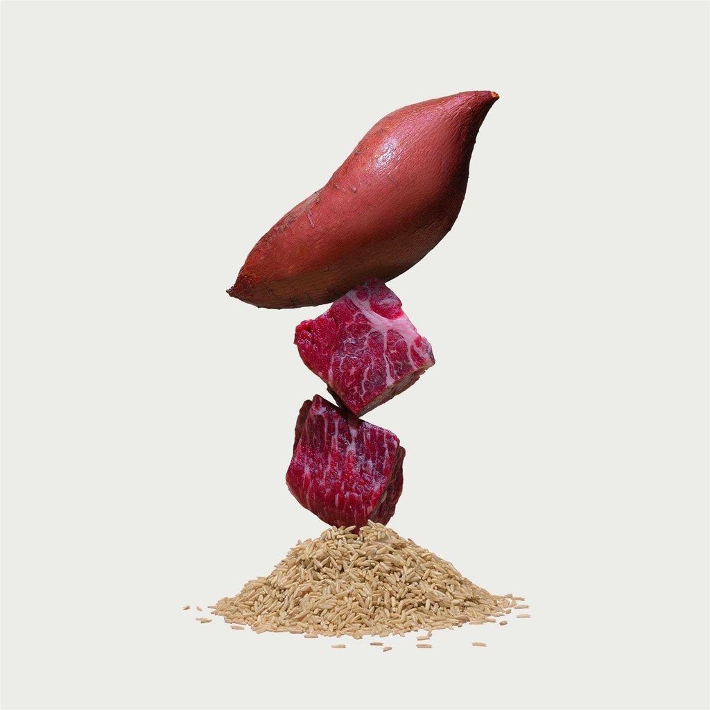 Brown Rice & Sweet Potato Dry Dog Food U7698
