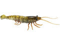 TPE Hard Shrimp P4176
