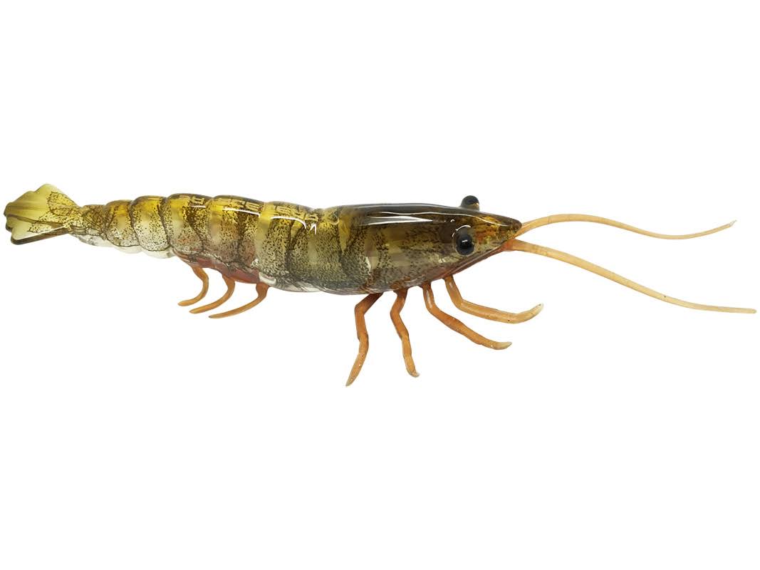 TPE Hard Shrimp P4176