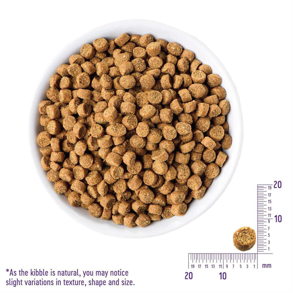 Grain-Free Turkey & Duck Dry Cat Food P444187