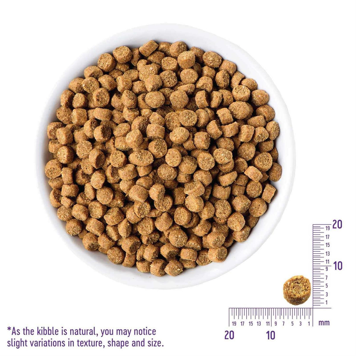 Grain-Free Turkey & Duck Dry Cat Food P444187