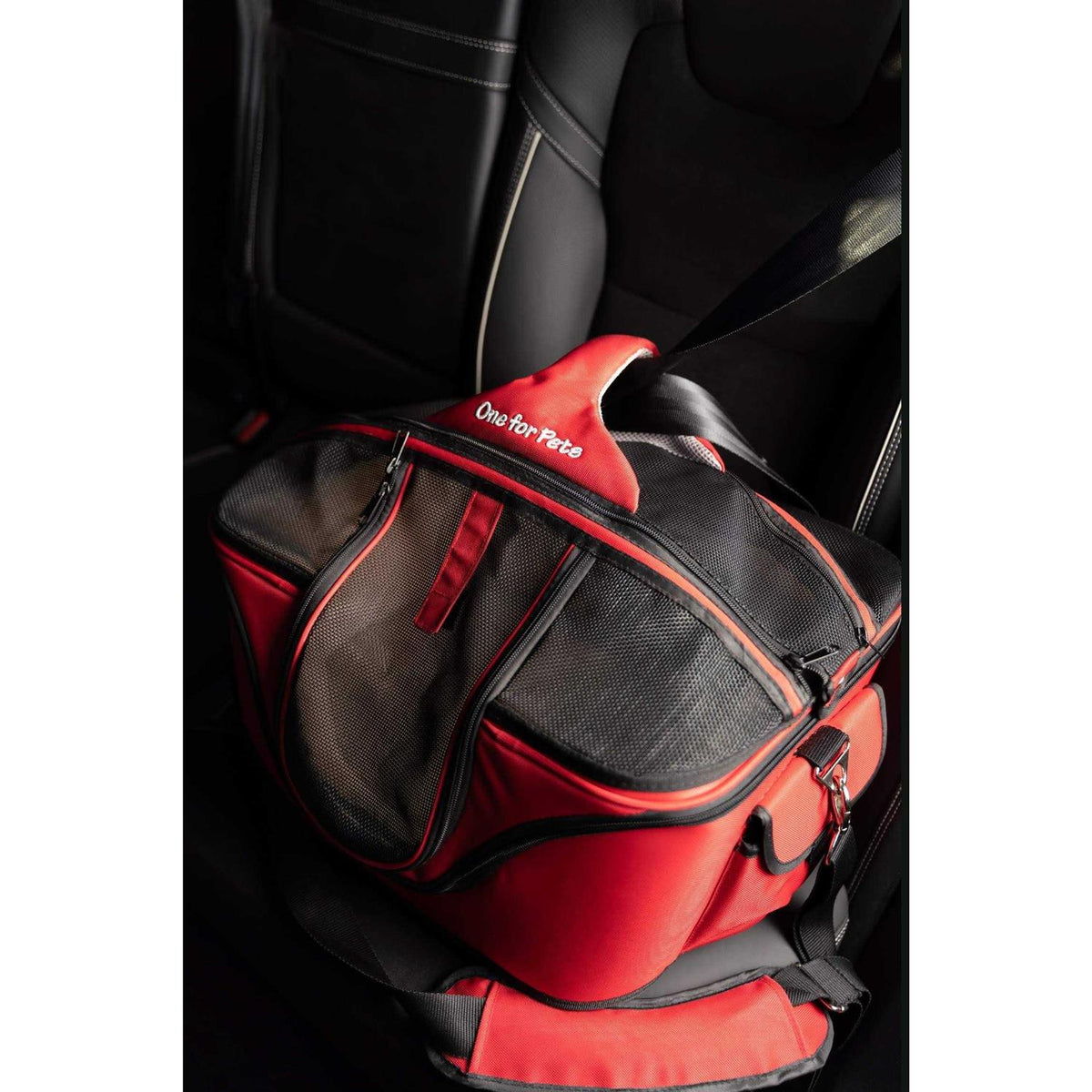 Cozy Carrier B6508