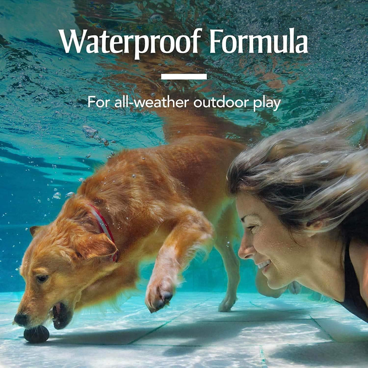 PETARMOR Plus Topical Flea and Tick Prevention for Dogs, 6 Count Pack of 2 R4813
