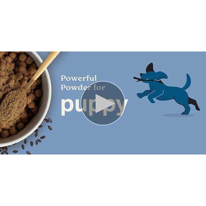 Puppy Health Supplement Z15434