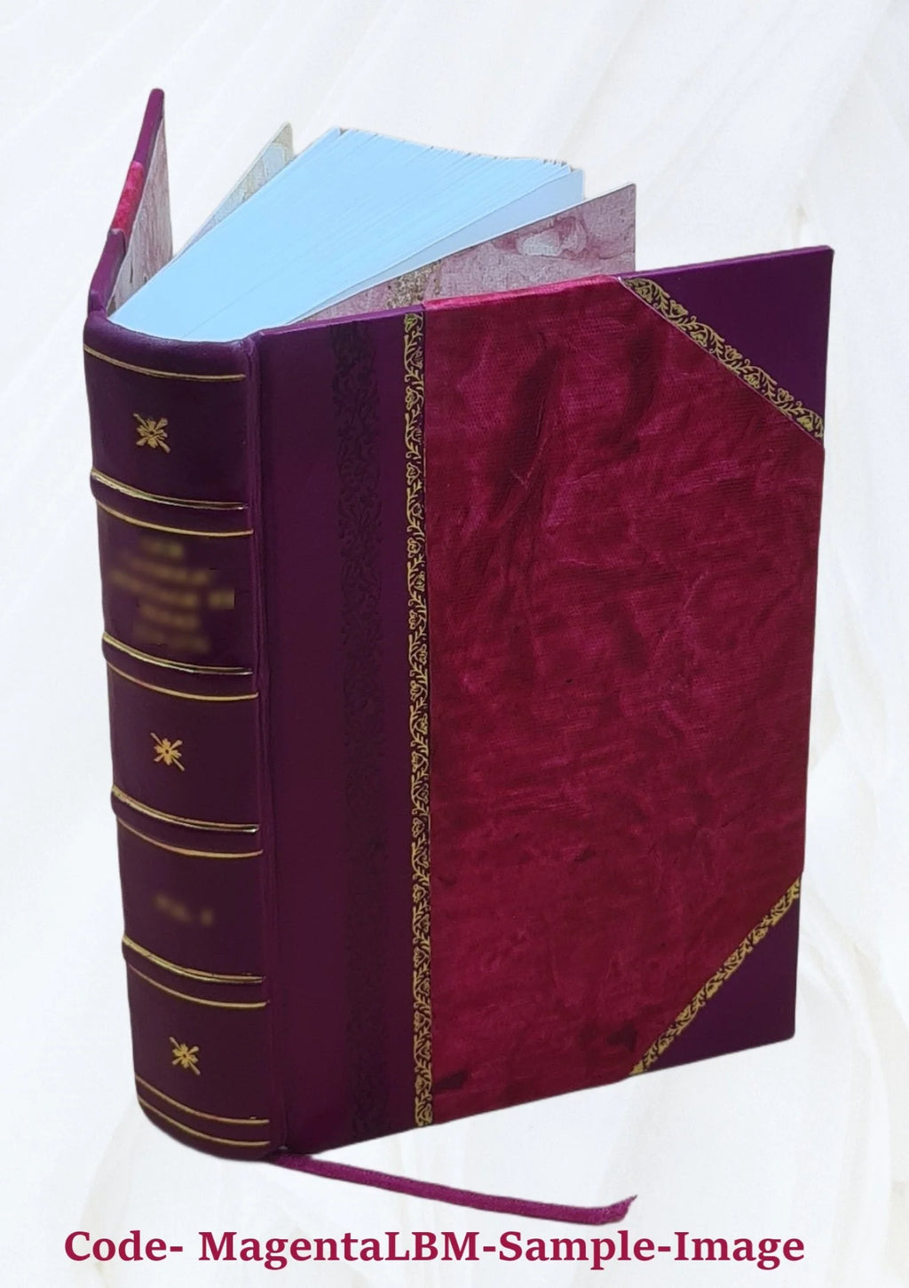 Leather Bound Furniture and furnishings F44348