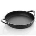 Cast Iron Pre-Seasoned Pan N532