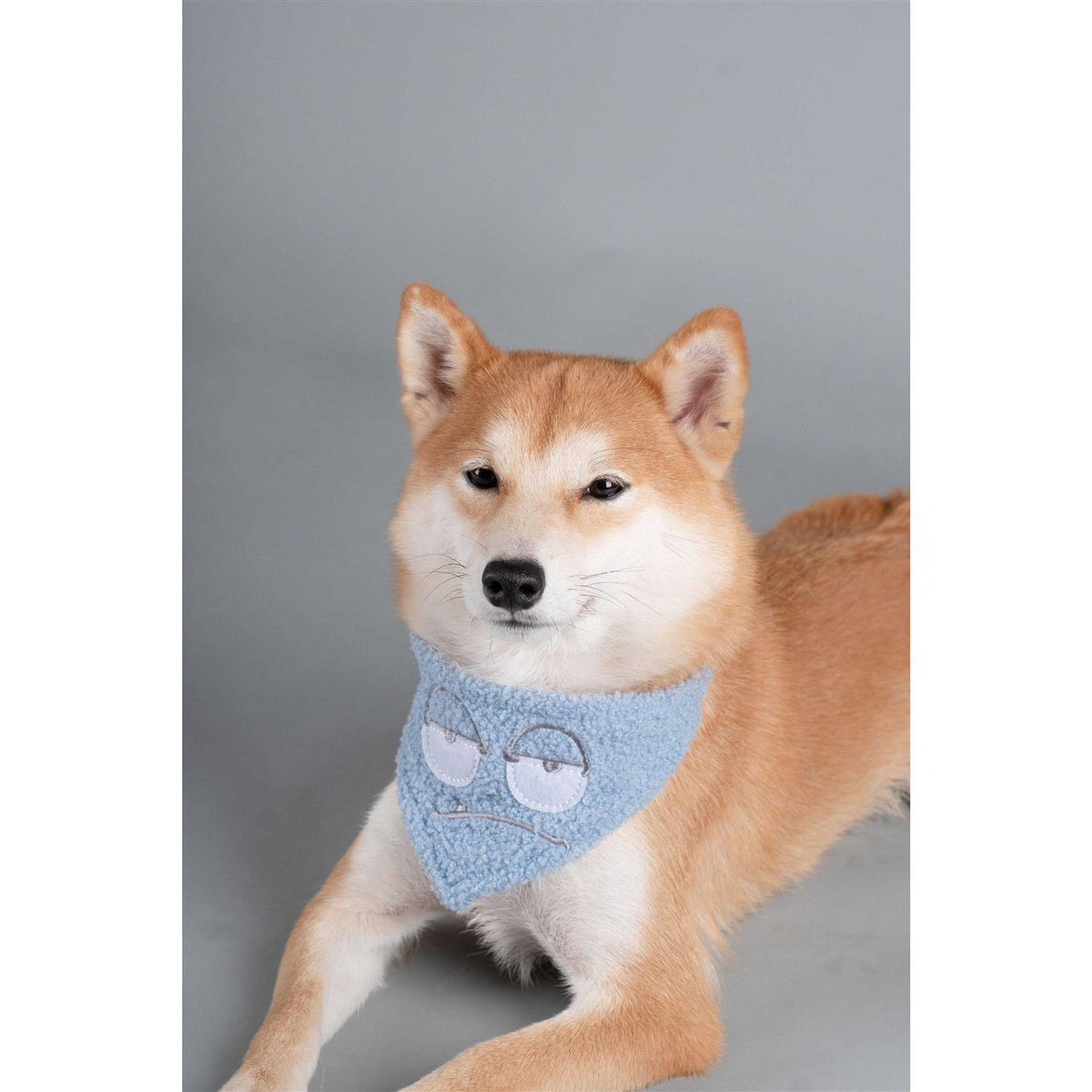 Nylon Dog Harness and Leash P514838